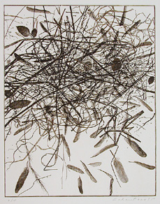 Eckart Print:  Grass, leaves, feathers.
